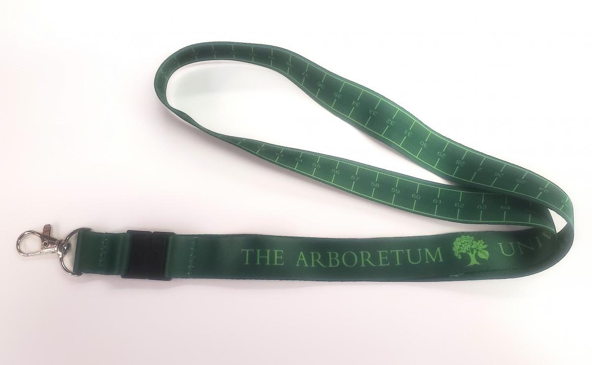 lanyard