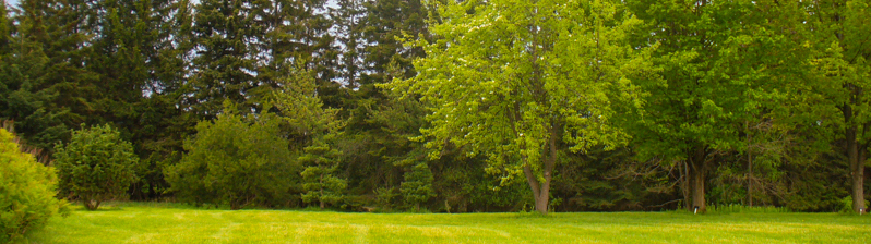 outdoor ceremony site 