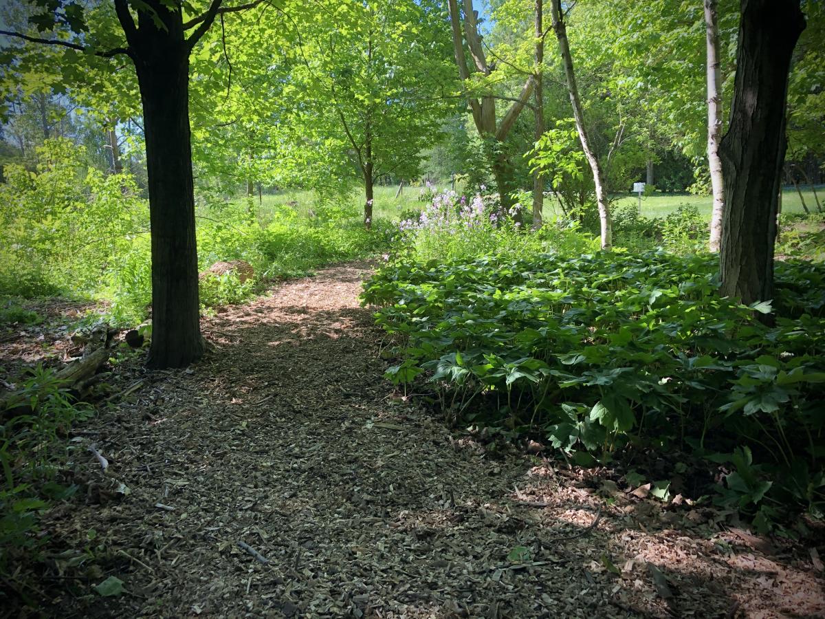 Trail between Garden 3 and 4
