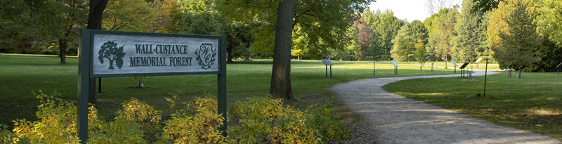 photo of the Wall-Custance Memorial Forest sign and path to the 2020 sapling