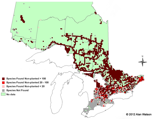 Ontario Tree Atlas map of non-planted White Spruce. 1995-1999.