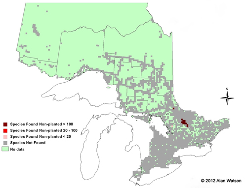 Ontario Tree Atlas map of non-planted Red Spruce. 1995-1999.
