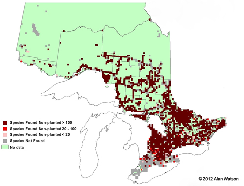 Ontario Tree Atlas map of non-planted Northern White Cedar. 1995-1999.