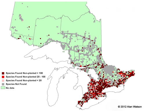 Ontario Tree Atlas map of non-planted Manitoba Maples. 1995-1999.