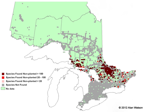 Ontario Tree Atlas map of non-planted Striped Maples. 1995-1999.