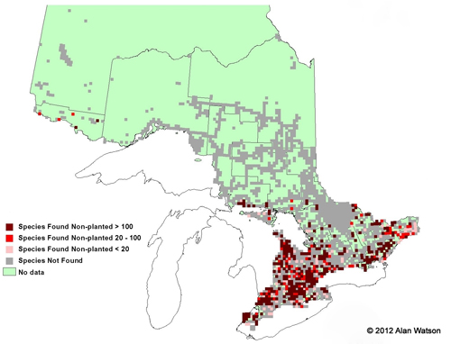Ontario Tree Atlas map of non-planted Silver Maples. 1995-1999.