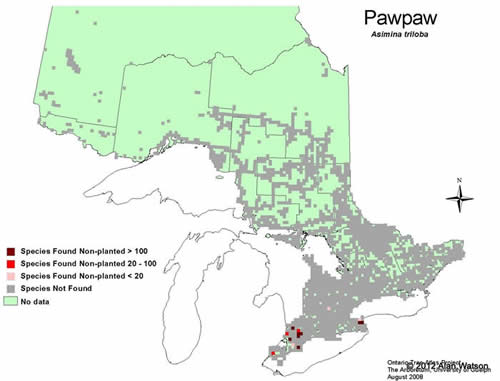 Ontario Tree Atlas map of non-planted Pawpaw. 1995-1999.