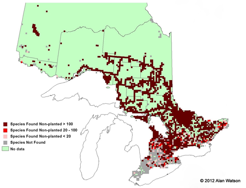 Ontario Tree Atlas map of non-planted Paper Birch. 1995-1999.