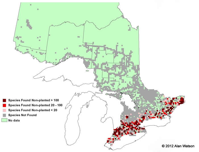 Ontario Tree Atlas map of non-planted Bitternut Hickory. 1995-1999.