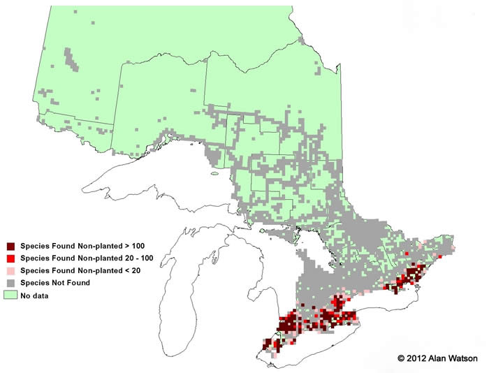 Ontario Tree Atlas map of non-planted Shagbark Hickory. 1995-1999.