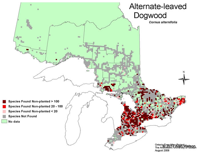 Ontario Tree Atlas map of non-planted Alternate-leaved Dogwoods. 1995-1999.