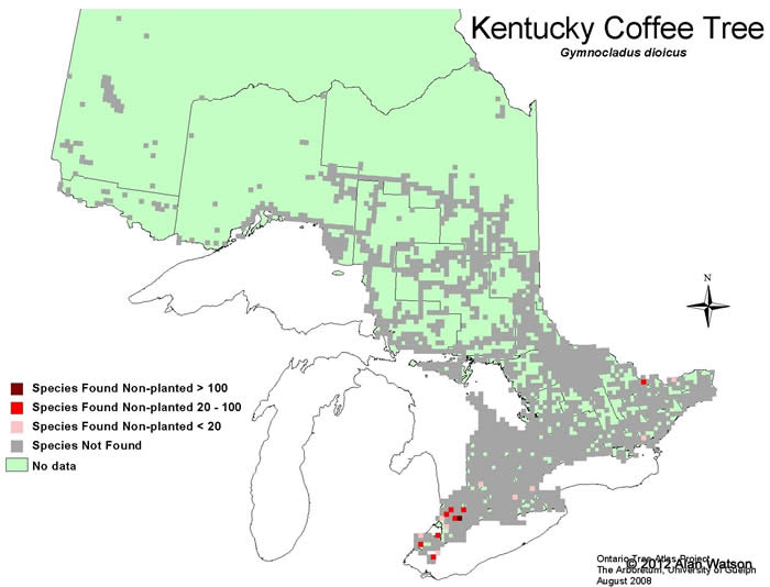 Ontario Tree Atlas map of non-planted Kentucky Coffetree. 1995-1999.
