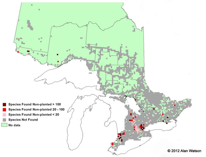 Ontario Tree Atlas map of non-planted Wild Plum. 1995-1999.