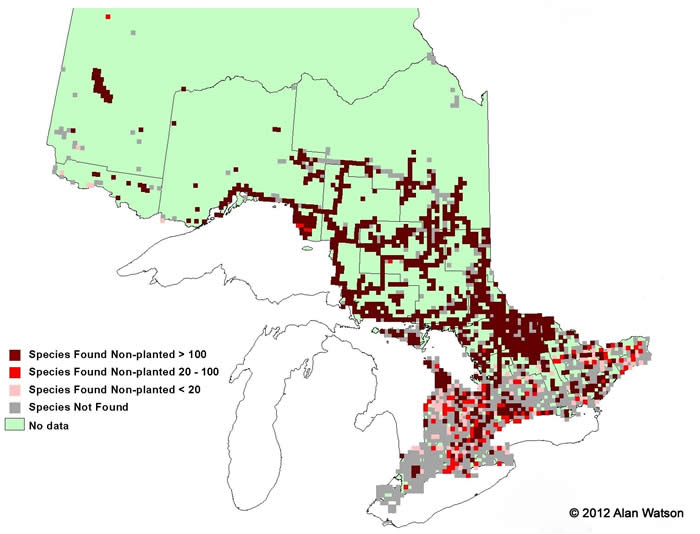 Ontario Tree Atlas map of non-planted Pin Cherry. 1995-1999.