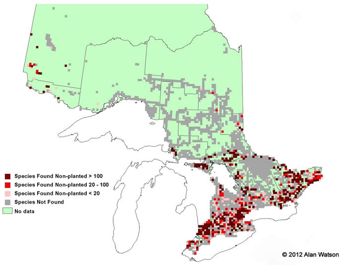 Ontario Tree Atlas map of non-planted Bur Oak. 1995-1999.