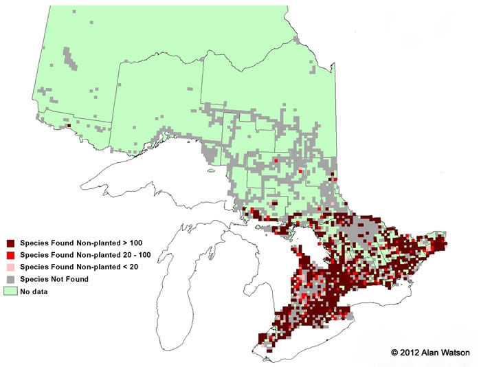 Ontario Tree Atlas map of non-planted Staghorn Sumac. 1995-1999.