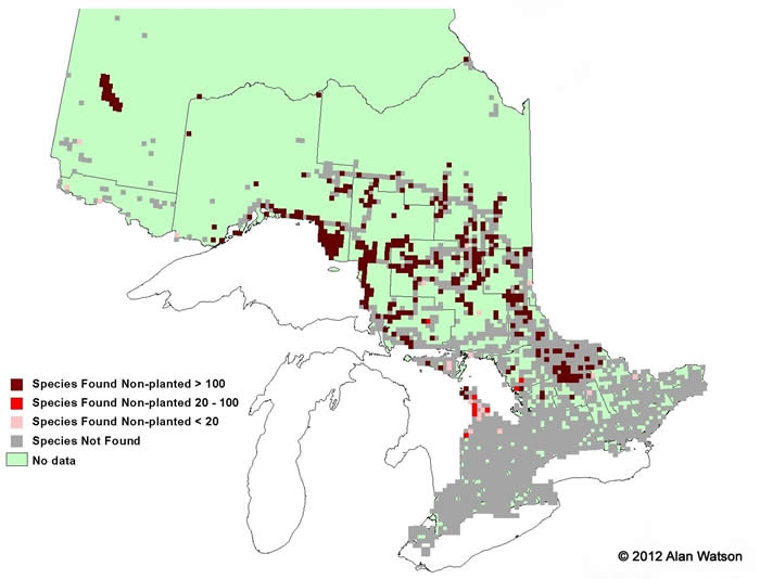 Ontario Tree Atlas map of non-planted Showy Mountain Ash. 1995-1999.