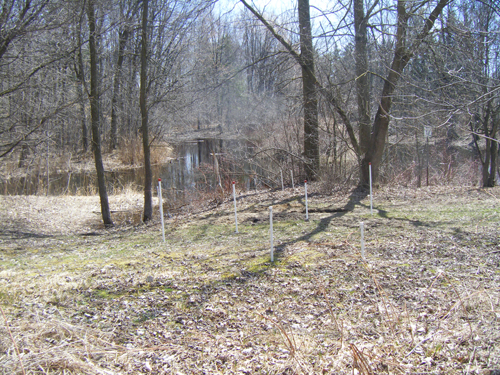 Study site at Victoria Woods Pond. Photo by Gary Parkin.