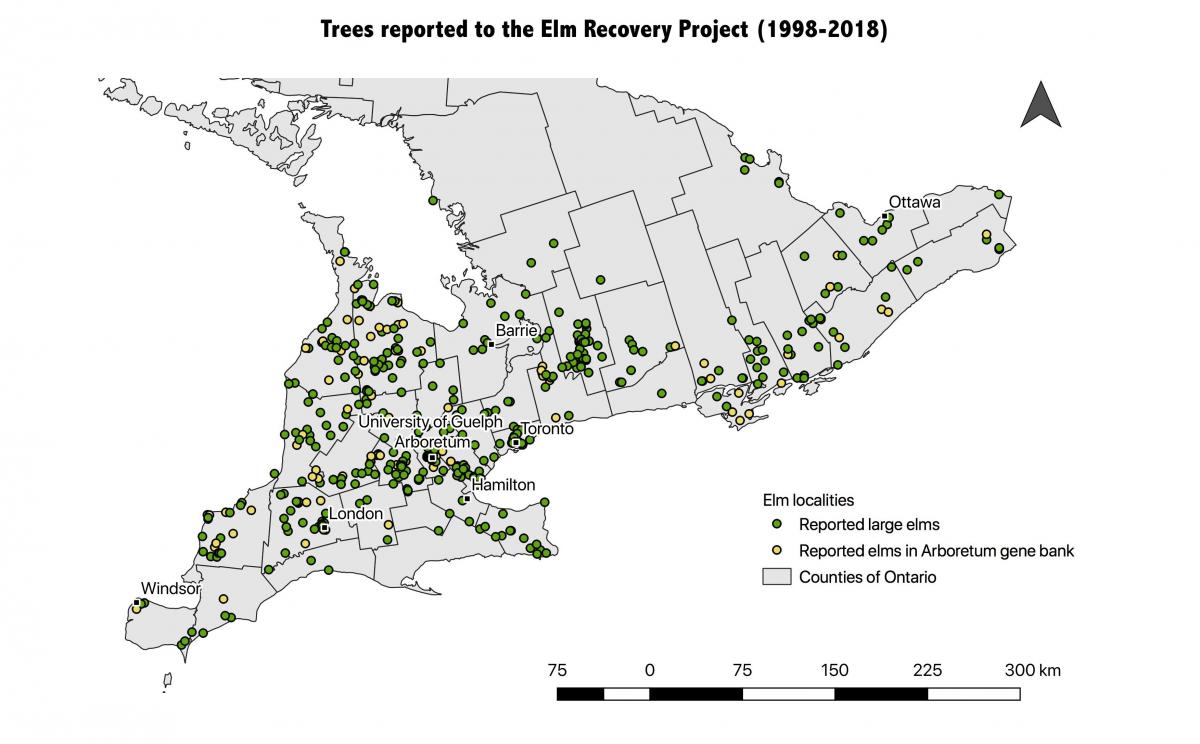 map of elms in Ontario