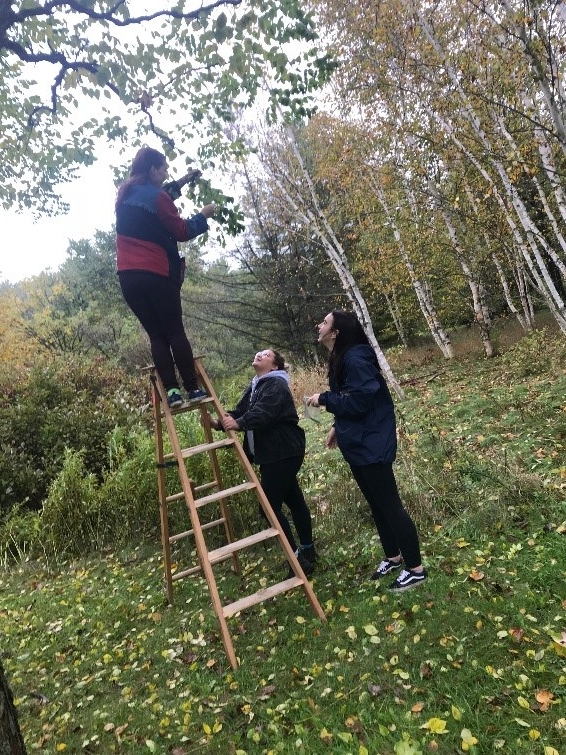 Hutt-Taylor et al. sampling in the field