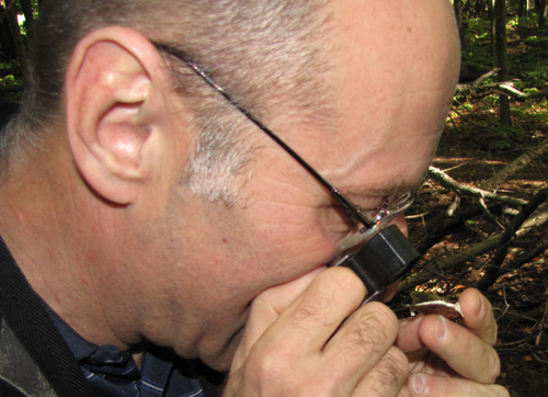 Richard Aaron identifying one of our specimens during a Mushroom Workshop.