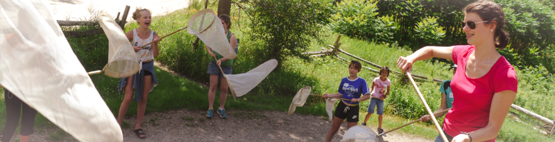 students using butterfly nets