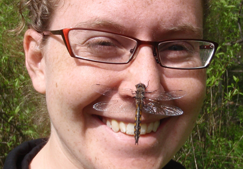 Dragonfly on persons face