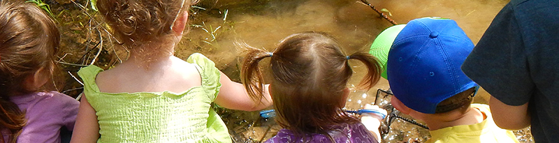 kids watch the underwater life of a stream