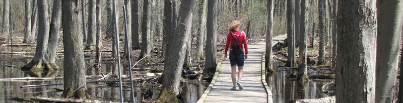 visitor exploring the arboretum on their own