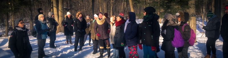 participants on a winter walk