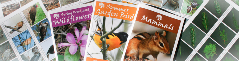 Some of the booklets and biodiversity sheets available for sale