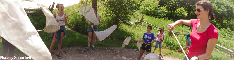 Teacher and Class learn how to use butterfly nets