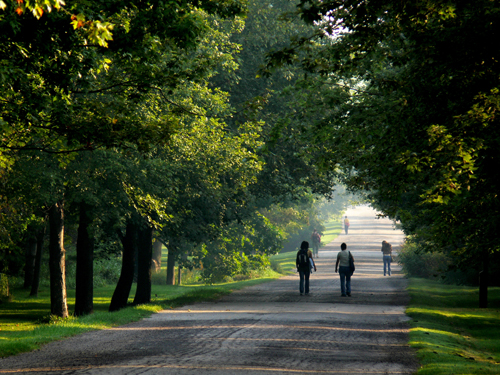 Arboretum Promenade