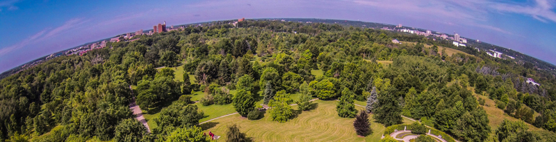 photo of arboretum skyline