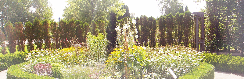 photo of English Garden