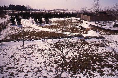 A view of Garden Four from the "woodland" in the winter of 1989-1990