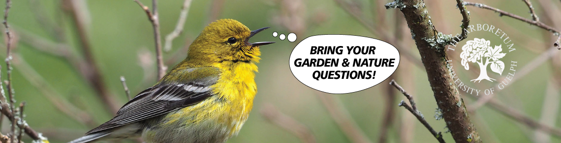 image of a bird with a speech bubble that reads Bring your garden and nature questions