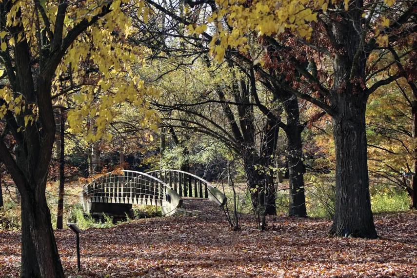 A photo of the Arboretum grounds