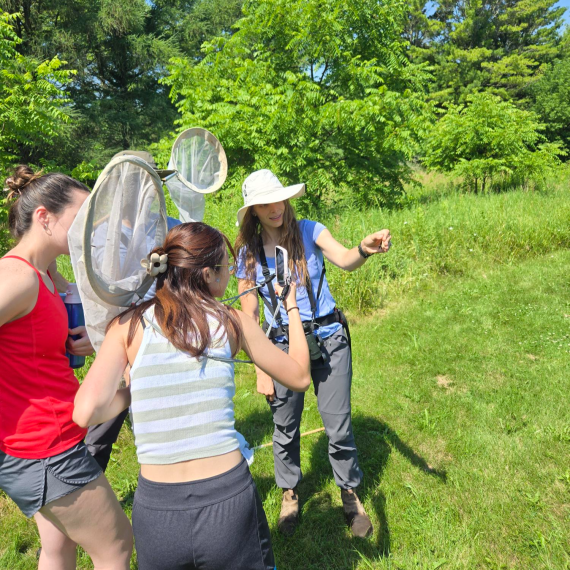 People observing an Odonata they caught with a net