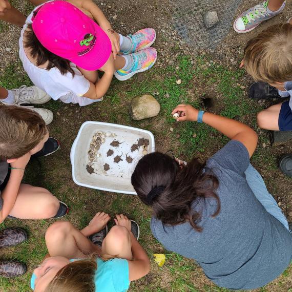 Children observing pond life