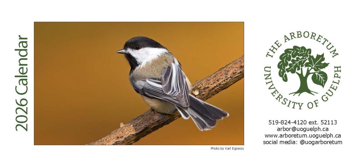 image of 2025 Arboretum Calendar