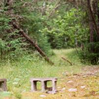 Forest trail with a small opening, in the center of the opening lays a concrete block