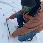 Person measuring tracks in snow