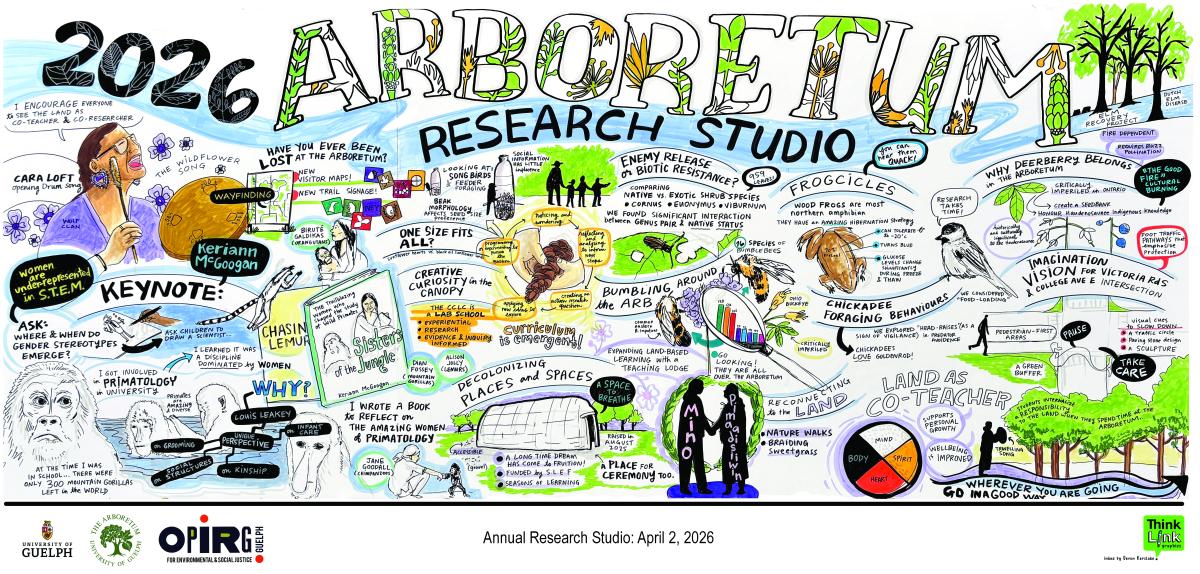A graphical representation of all the presentations at the 2026 Arboretum Research Studio