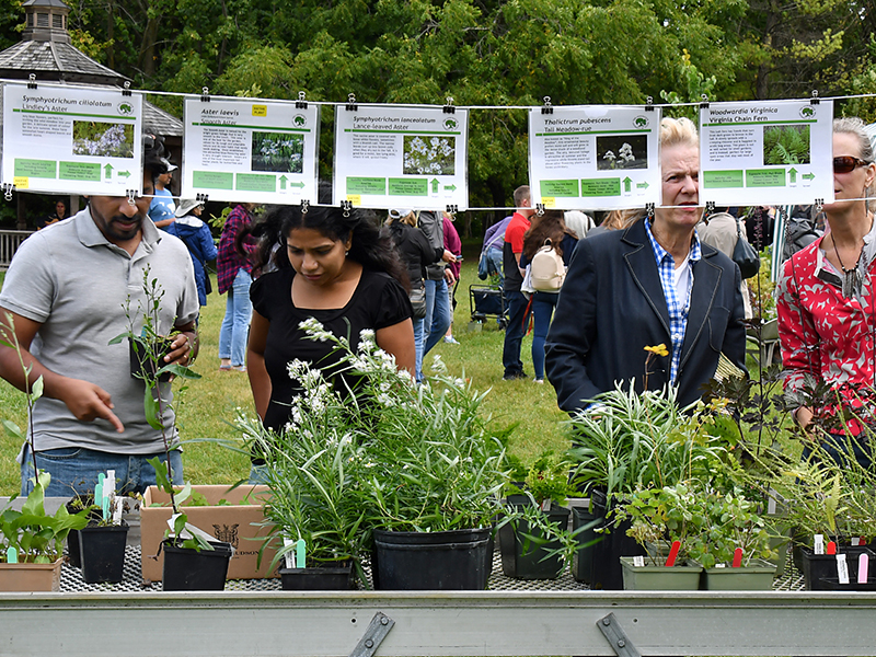 colour photo of 4 people looking at signs above a table of plants