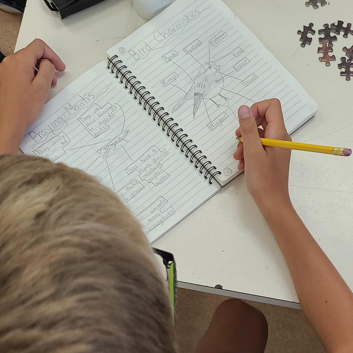 child sketching in a journal