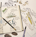 collage of sketching materials and sketches