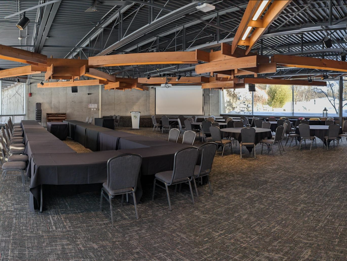 meetings and conferences