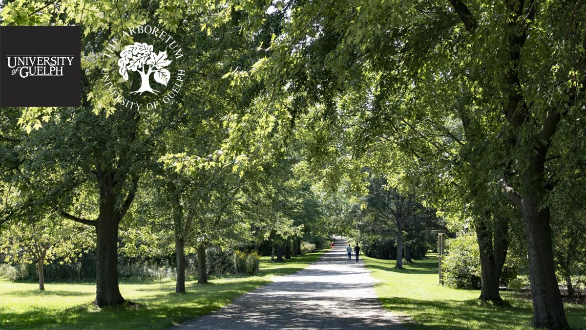 Arboretum Landscape1