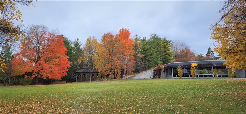 Back of the Arboretum and the west lawn